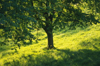 野宿の場所を選ぶ