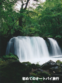 青森県の絶景スポット(奥入瀬渓谷)
