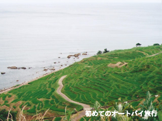 石川県の見どころ(千枚田)