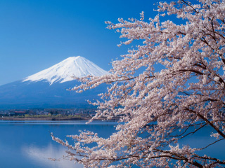 バイクの免許は春になってから取るのがおすすめ